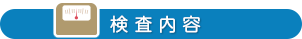 検査内容